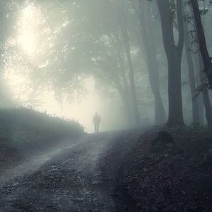 Meet your Posher, Sue